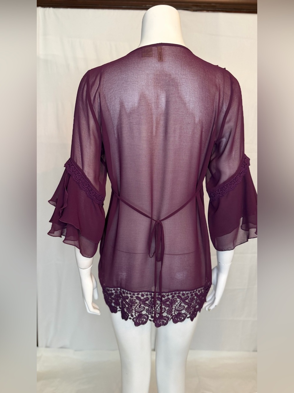 Sheer Ruffle Lace-Trim Blouse in Plum - Picture 5 of 7